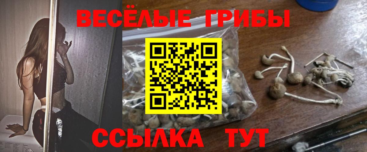 Пушкино  Псилоцибиновые грибы ЛСД  Галлюциногенные грибы Cubensis  Вход с VPN 